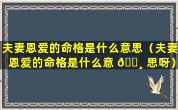 夫妻恩爱的命格是什么意思（夫妻恩爱的命格是什么意 🌸 思呀）